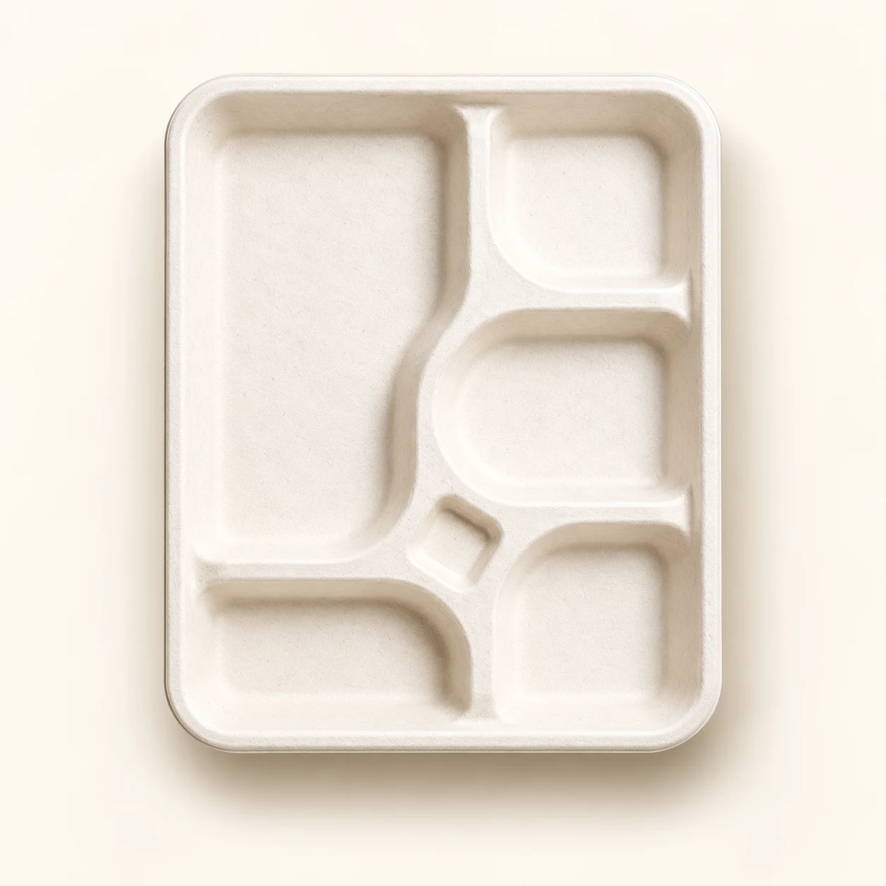 Five compartment sugarcane bagasse meal tray, studio illustration