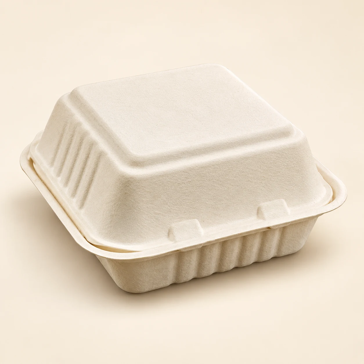 Closed sugarcane bagasse clamshell container, studio illustration