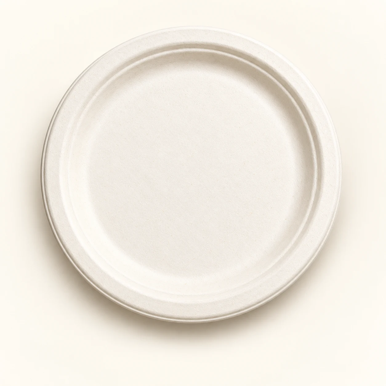 Round sugarcane bagasse plate, studio illustration